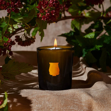 The Small Candle