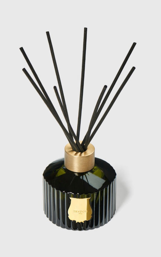 The Diffuser Ernesto