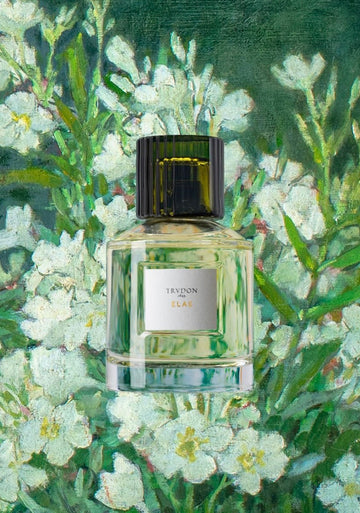 Elae Eau De Parfum 100ML