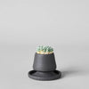 Stoneware Match Striker