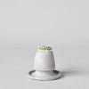 Stoneware Match Striker