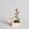Ceramic Frogs Square Block