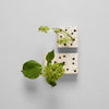 Ceramic Frogs Square Block